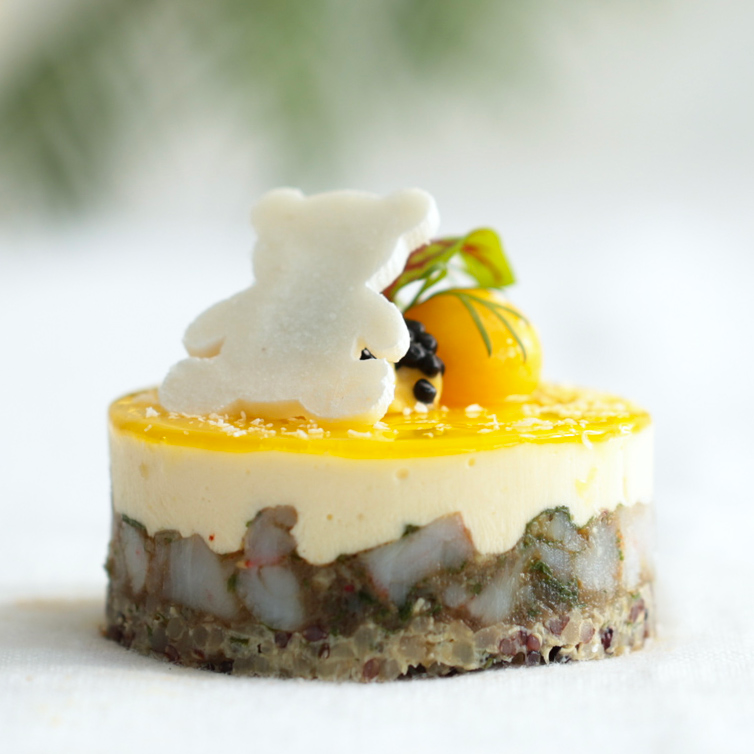 site ourson exotique.webp