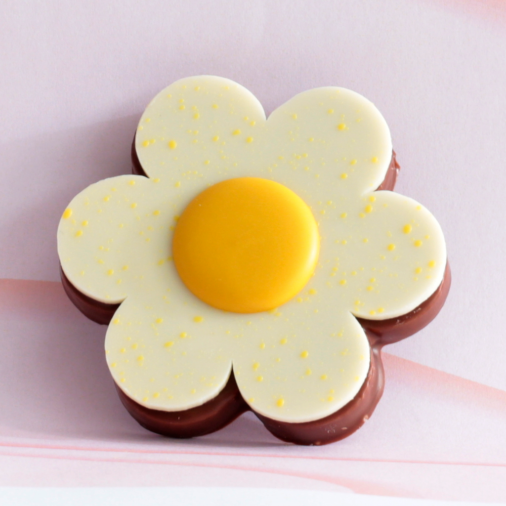 fdm site fleur blanche ok.webp