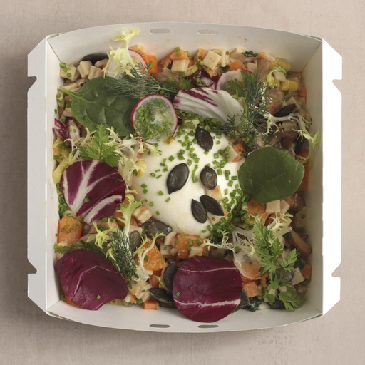 [013398*] Großer Herbstsalat