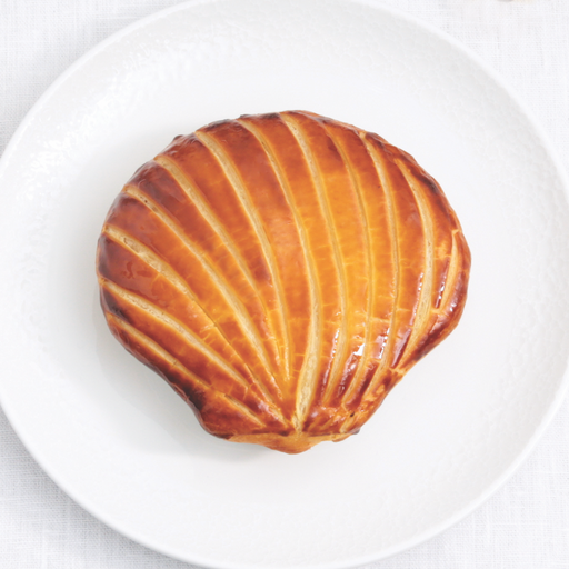 [013905*] Coquille sous l'Océan