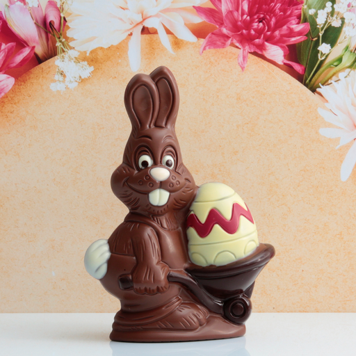 Lapin et sa brouette T2